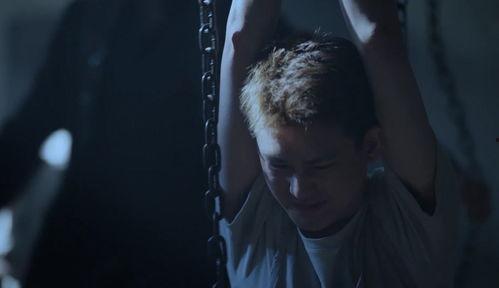 折磨 在线观看,揭秘人性深渊的惊悚之旅